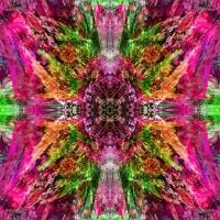 http://www.x04x.com/files/gimgs/th-53_x04x_2014_Art_Trashtonic_Collage_Random_Fuckit_04_1600.jpg